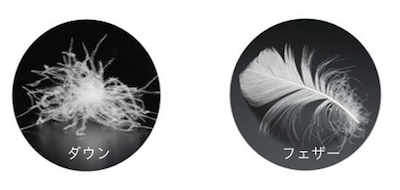 ダウンとフェザーの違い