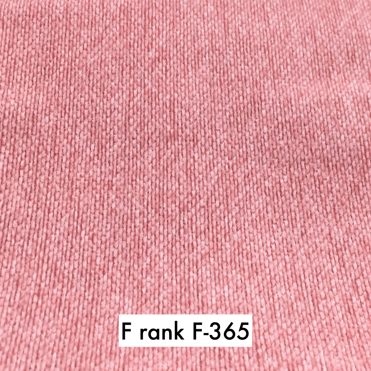 sample maruichi F rank 365