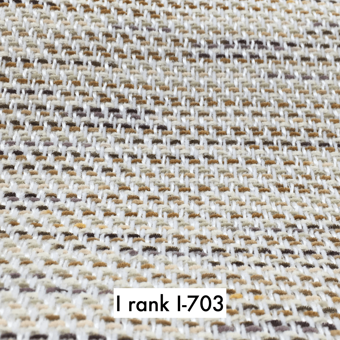 sample maruichi I rank 703