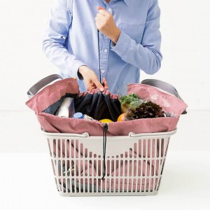 フェリシモ　レジカゴリュック