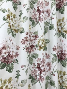 アリス　あじさい