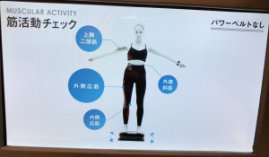 パワーベルト無