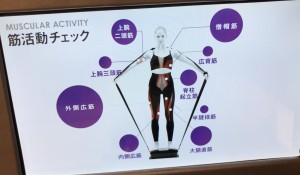 パワーベルト有